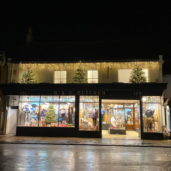 Our Christmas Windows
