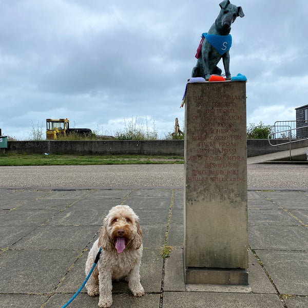 Roxy Rambles: Aldeburgh to Thorpeness
