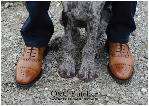 Dogs Welcome at O&C
