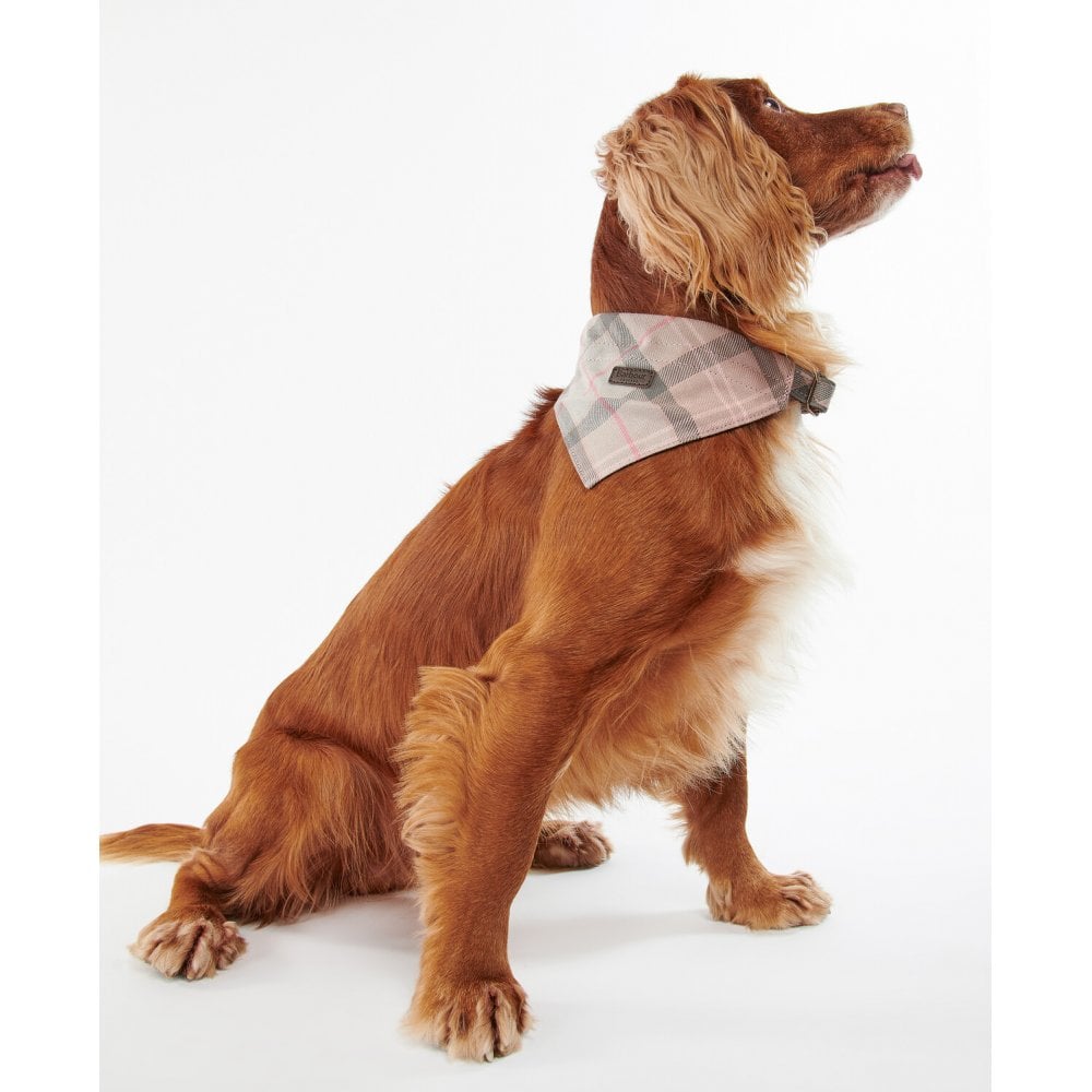 Tartan Bandana