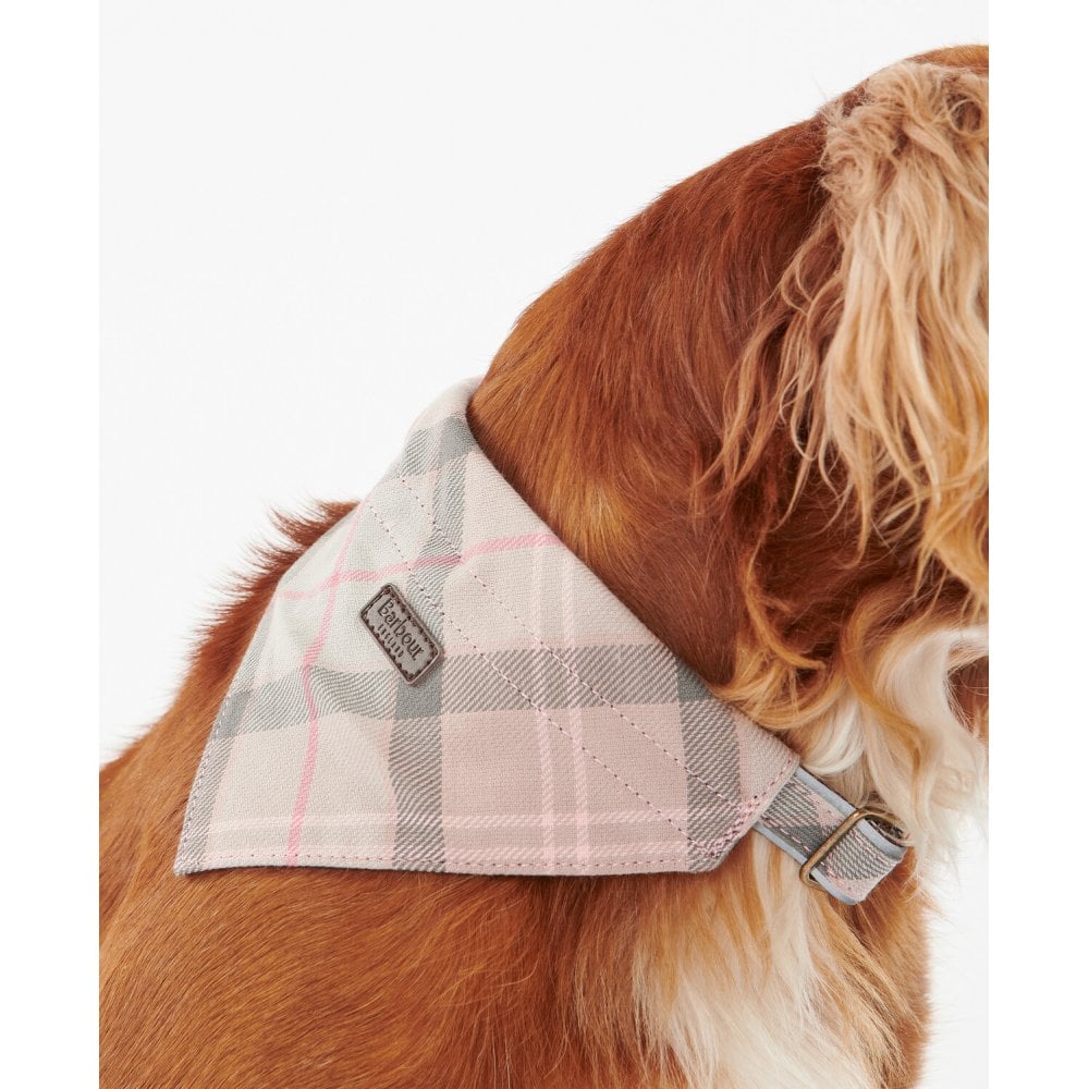 Tartan Bandana