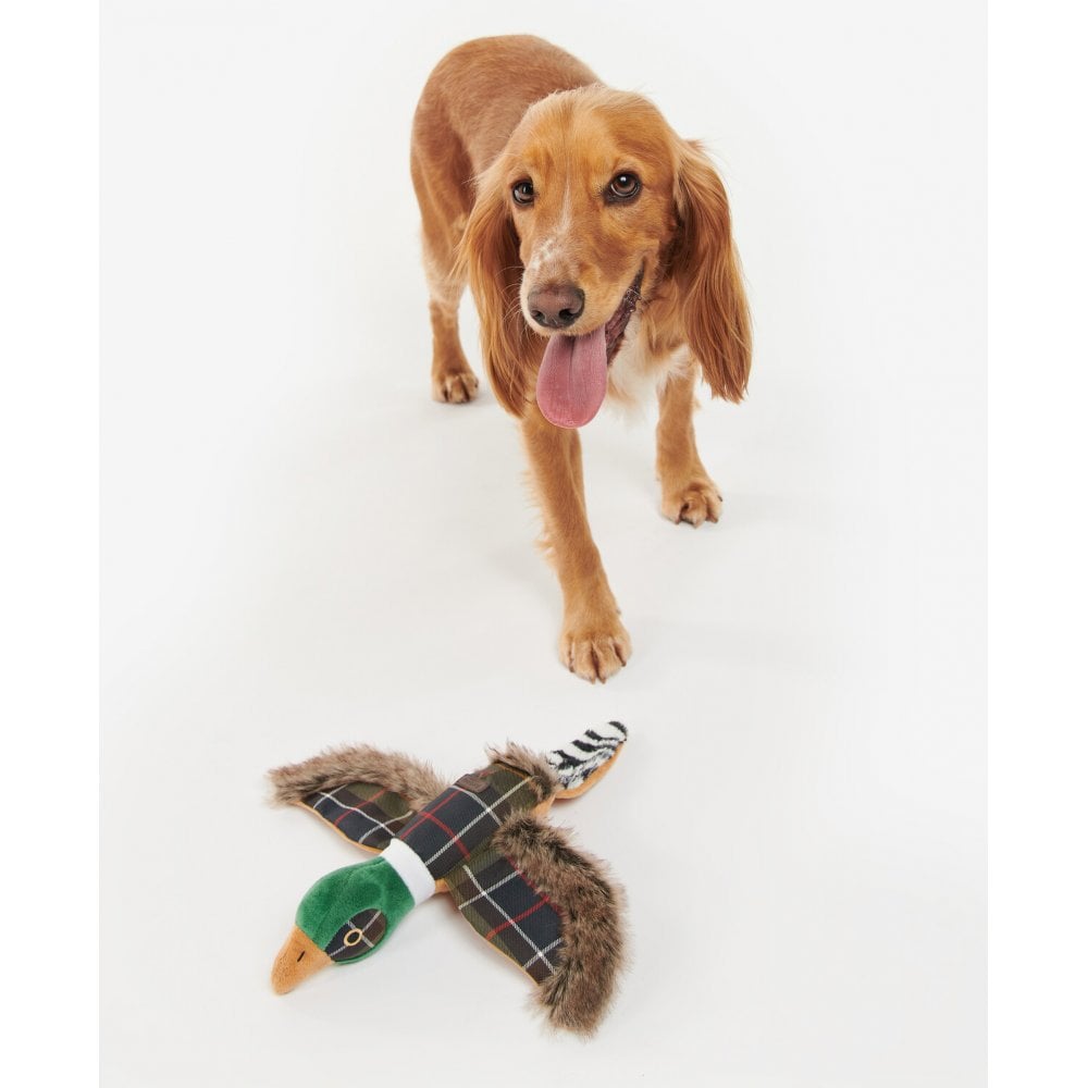 Pheasant Dog Toy