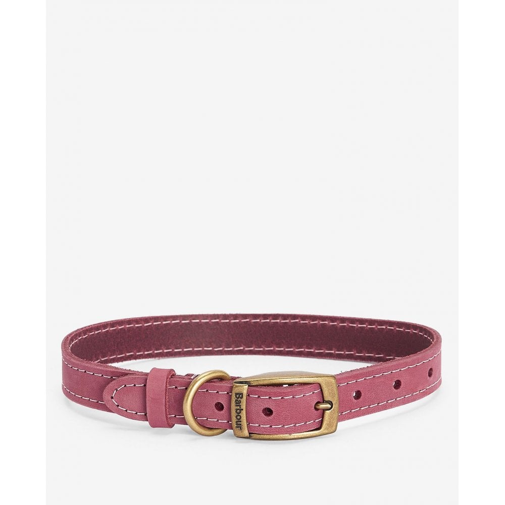 Leather Dog Collar