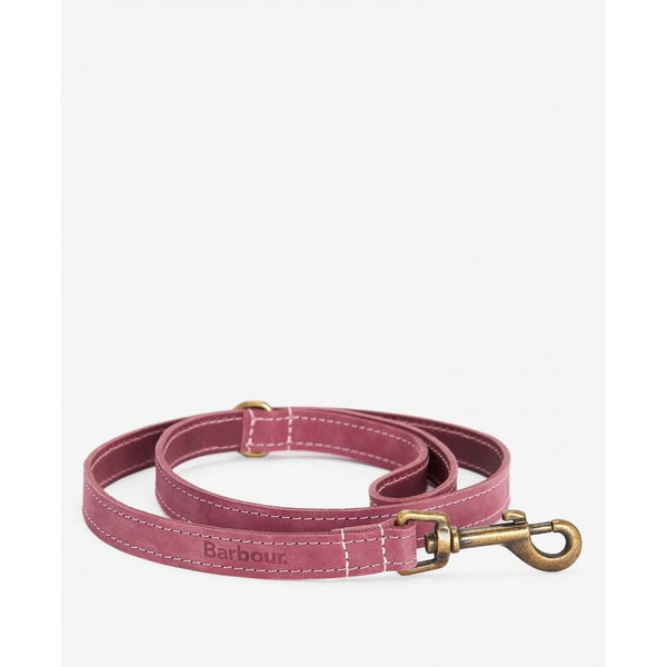 Leather Dog Lead