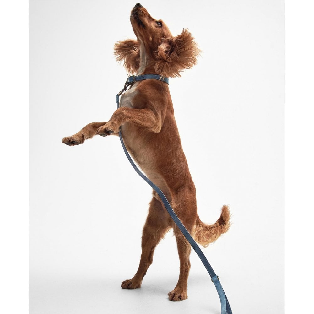 Leather Dog Lead