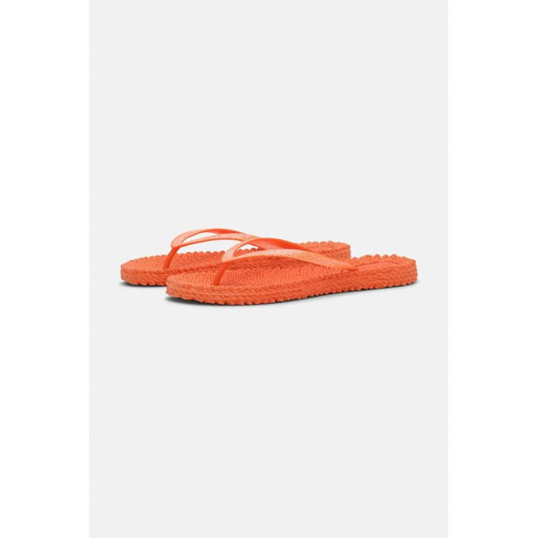 Glitter Flip Flop