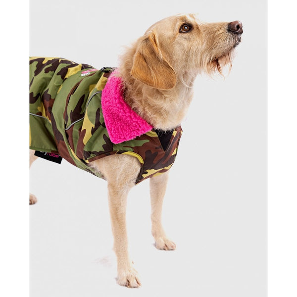 Dog Coat