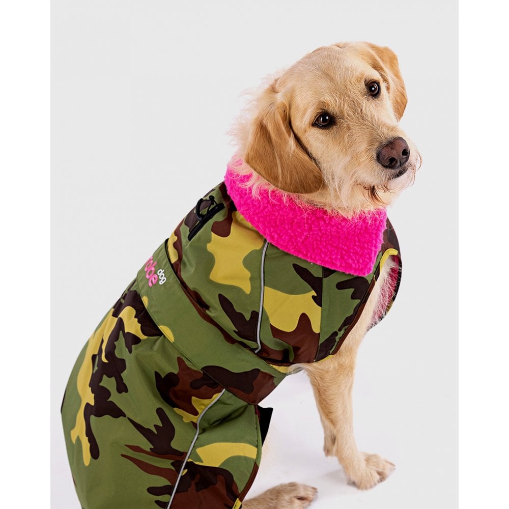 Dog Coat
