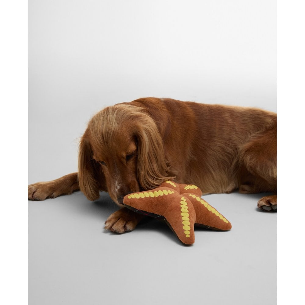 Starfish Dog Toy
