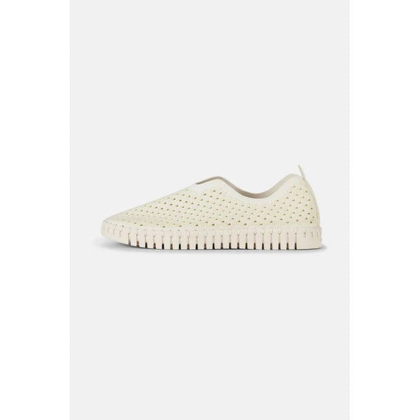 Tulip Flats