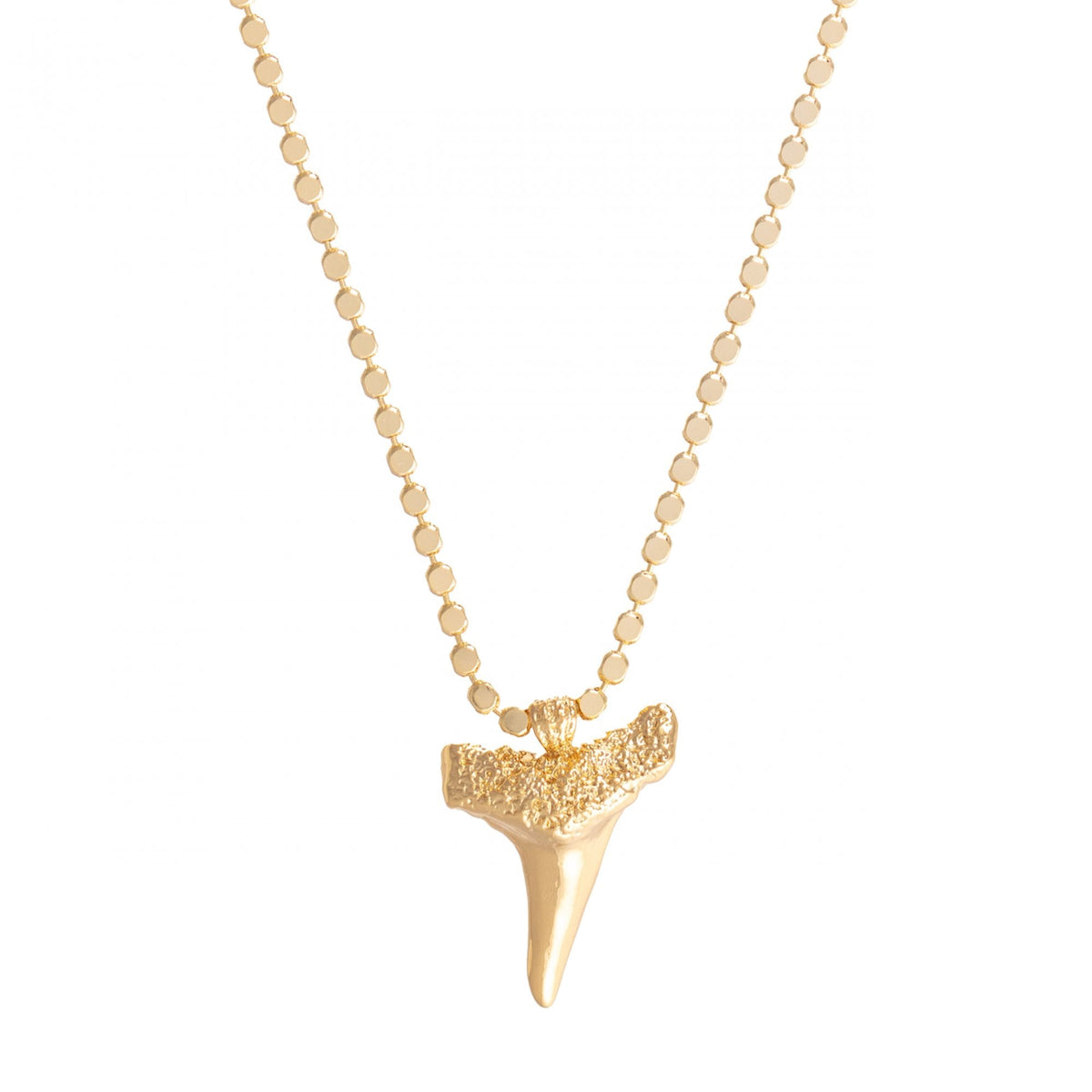 Shark Tooth Pendant Necklace- Gold