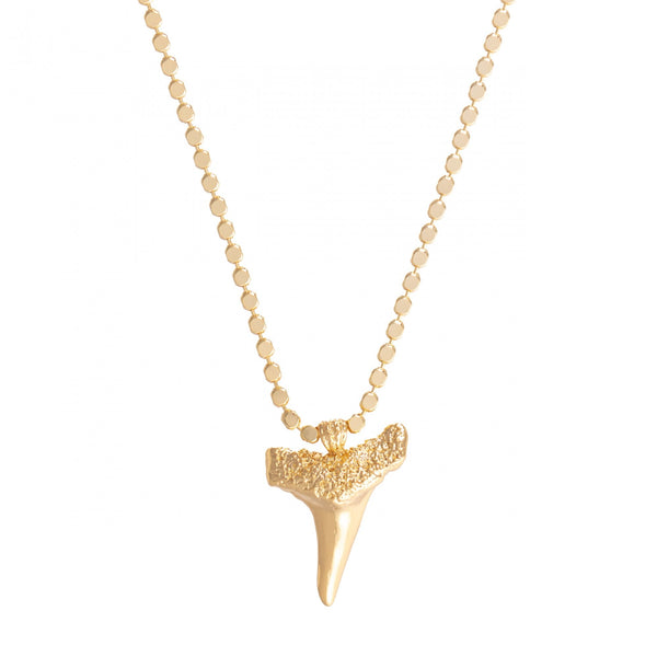 Shark Tooth Pendant Necklace- Gold