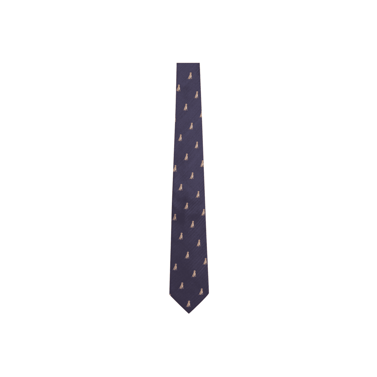 Ashford Silk Tie