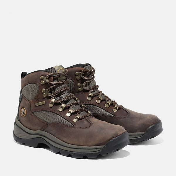 Chocorua GORE-TEX Hiking Boot