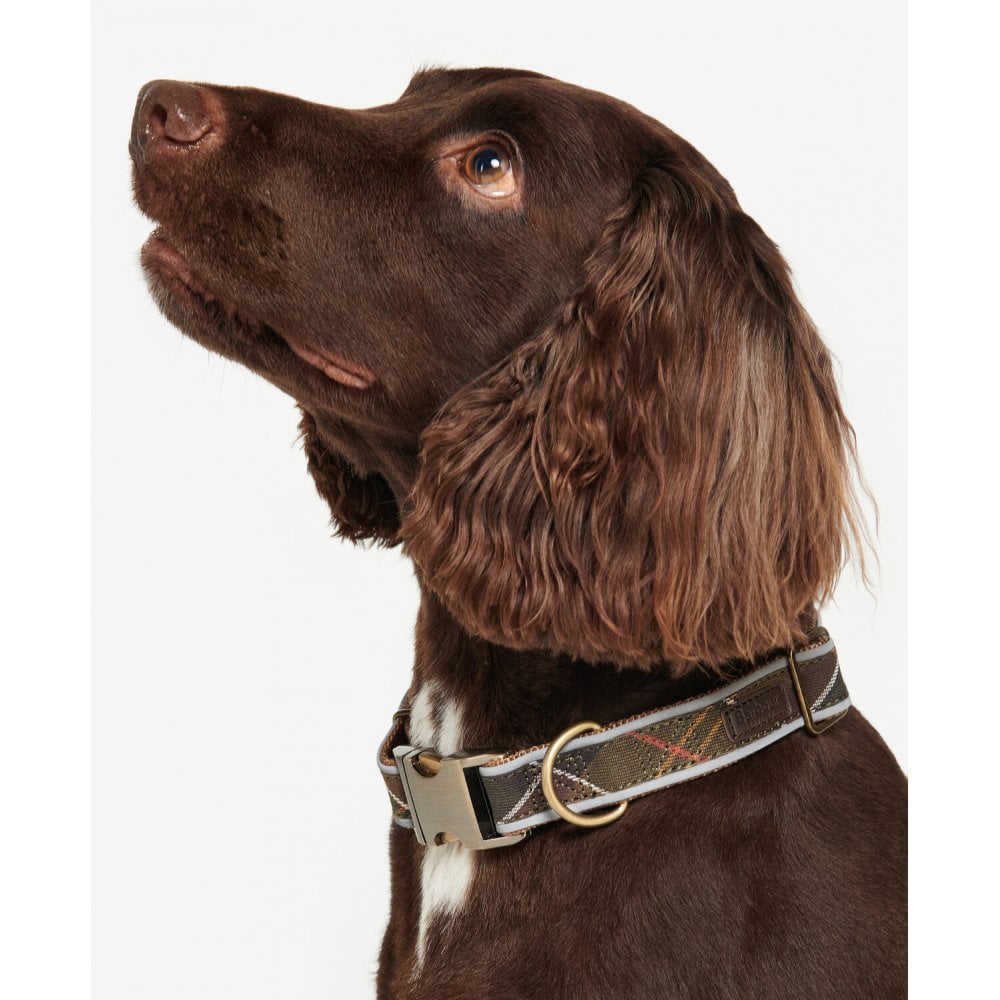 Reflective Tartan Dog Collar
