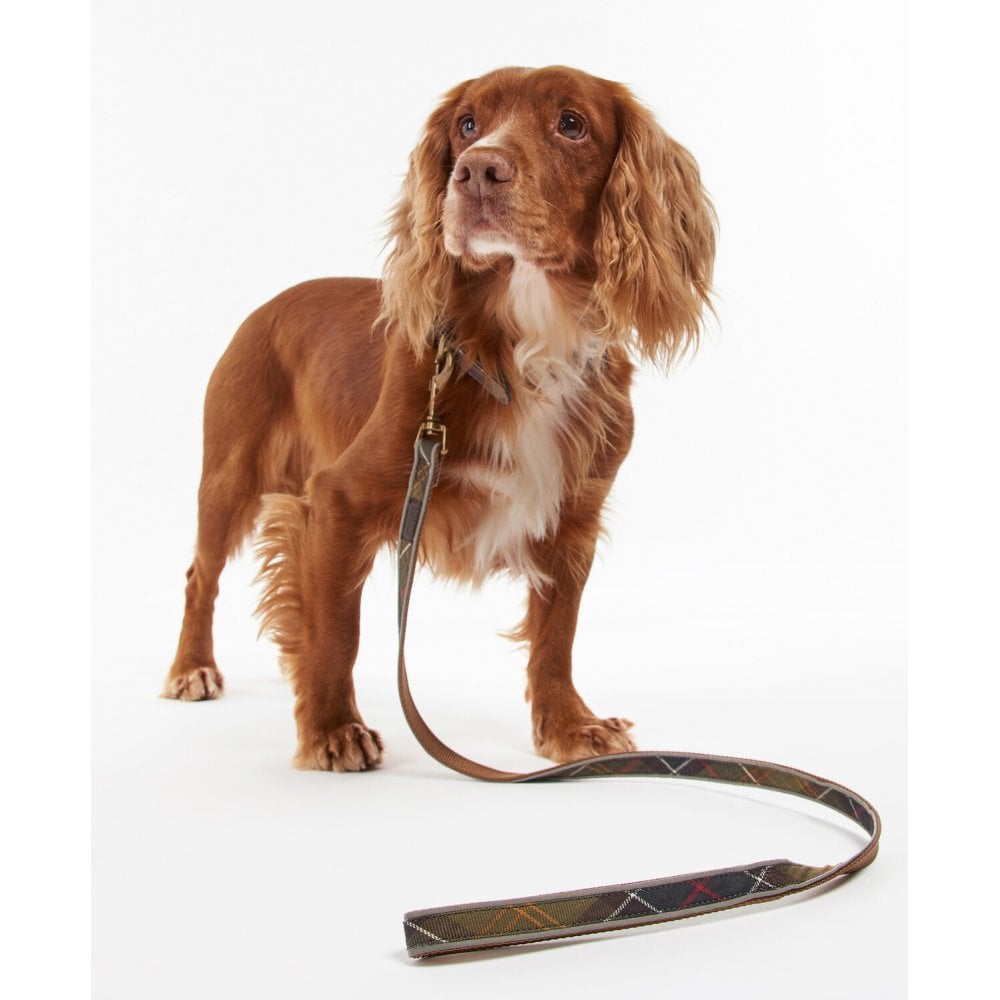 Reflective Tartan Dog Lead