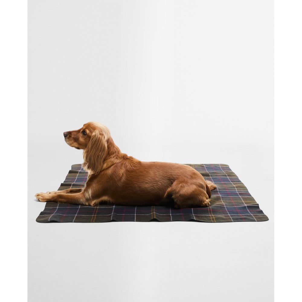 Tartan Dog Blanket