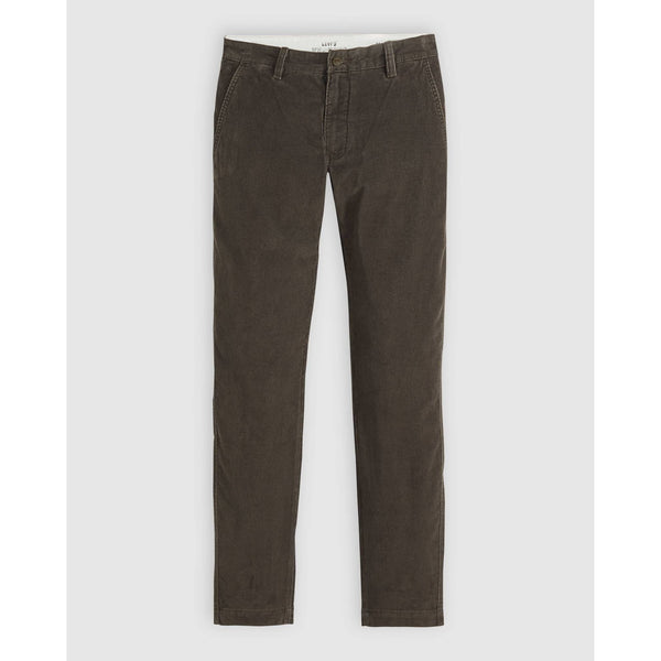 XX Standard Taper Corduroy Chinos