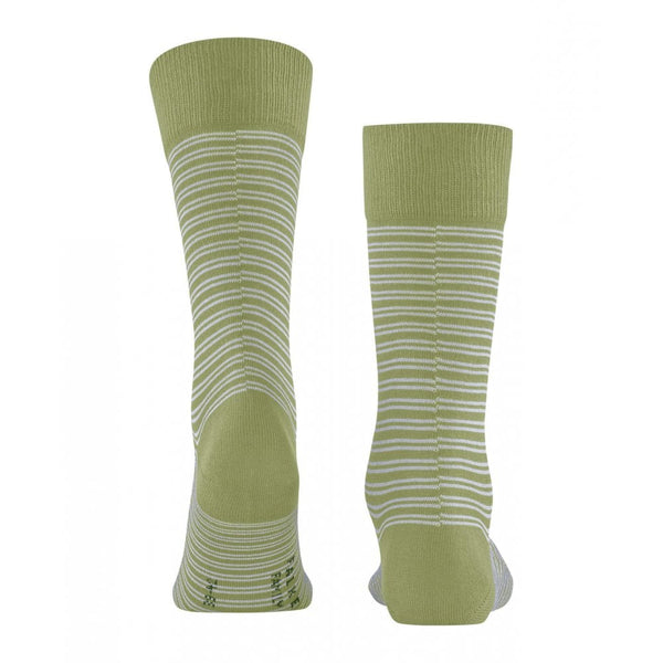 Family Special Edition Socks
