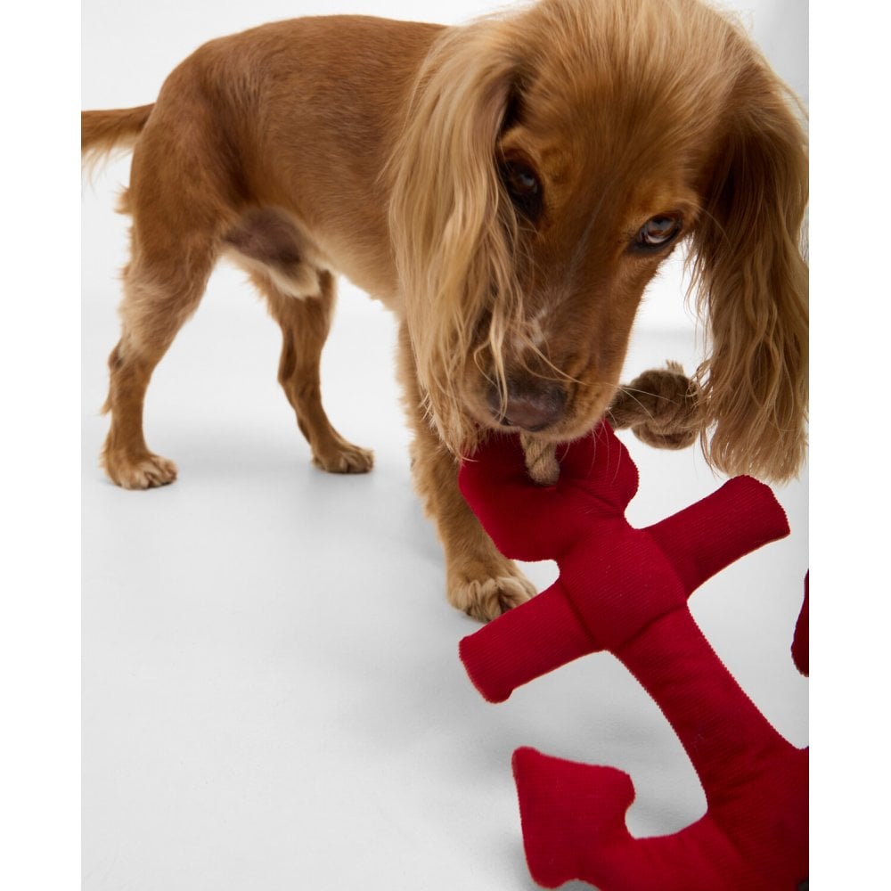 Dog Anchor Toy