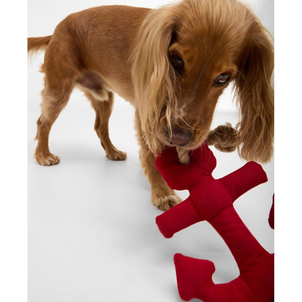 Dog Anchor Toy