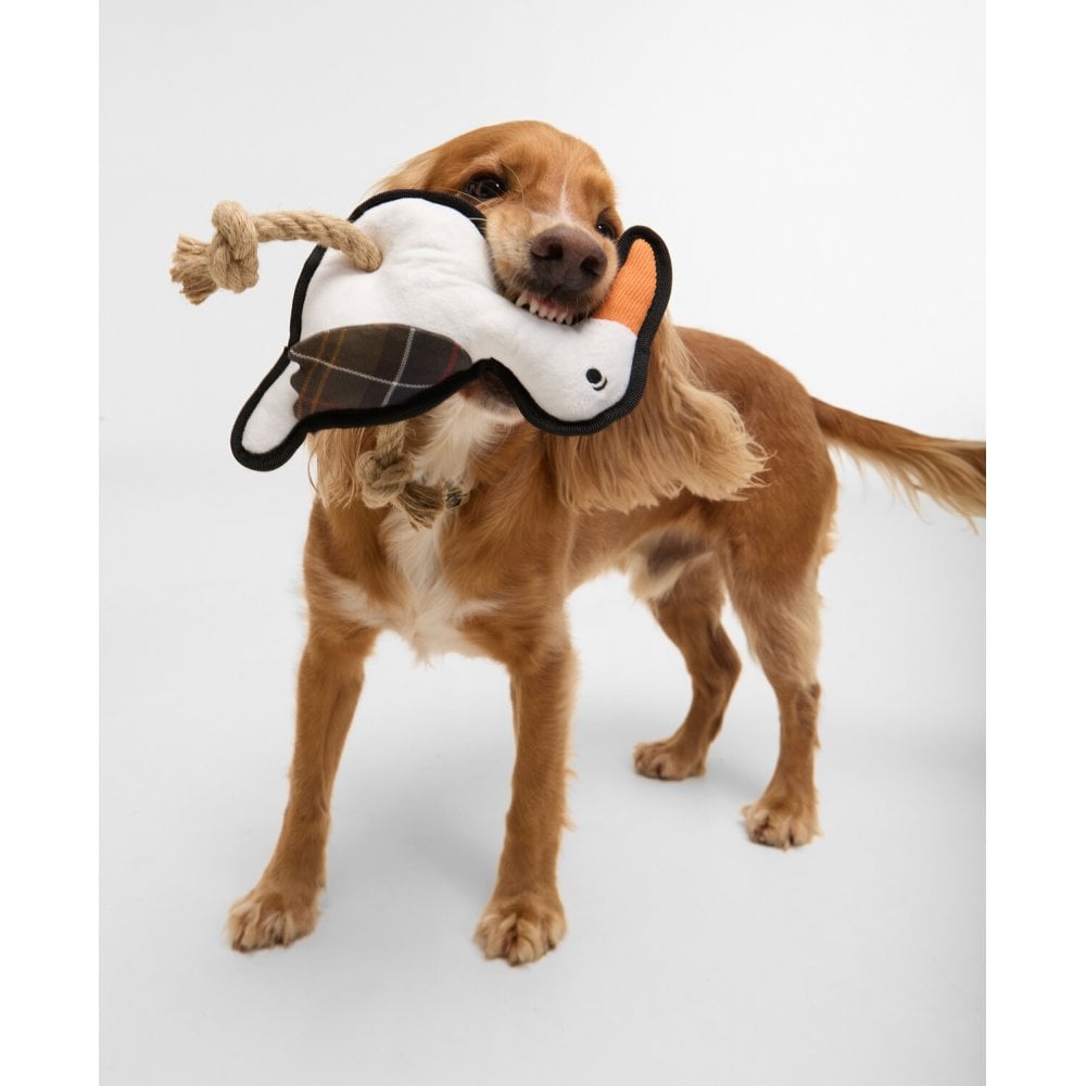 Dog Seabird Toy