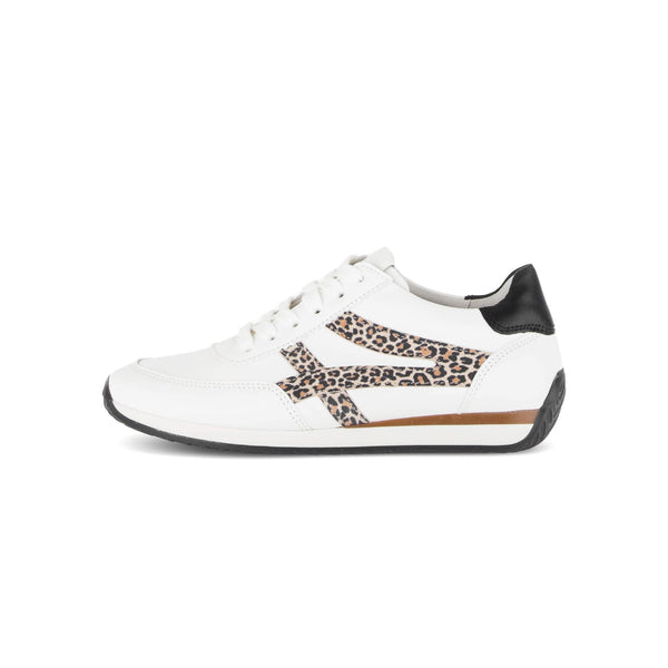 Globe Trainer