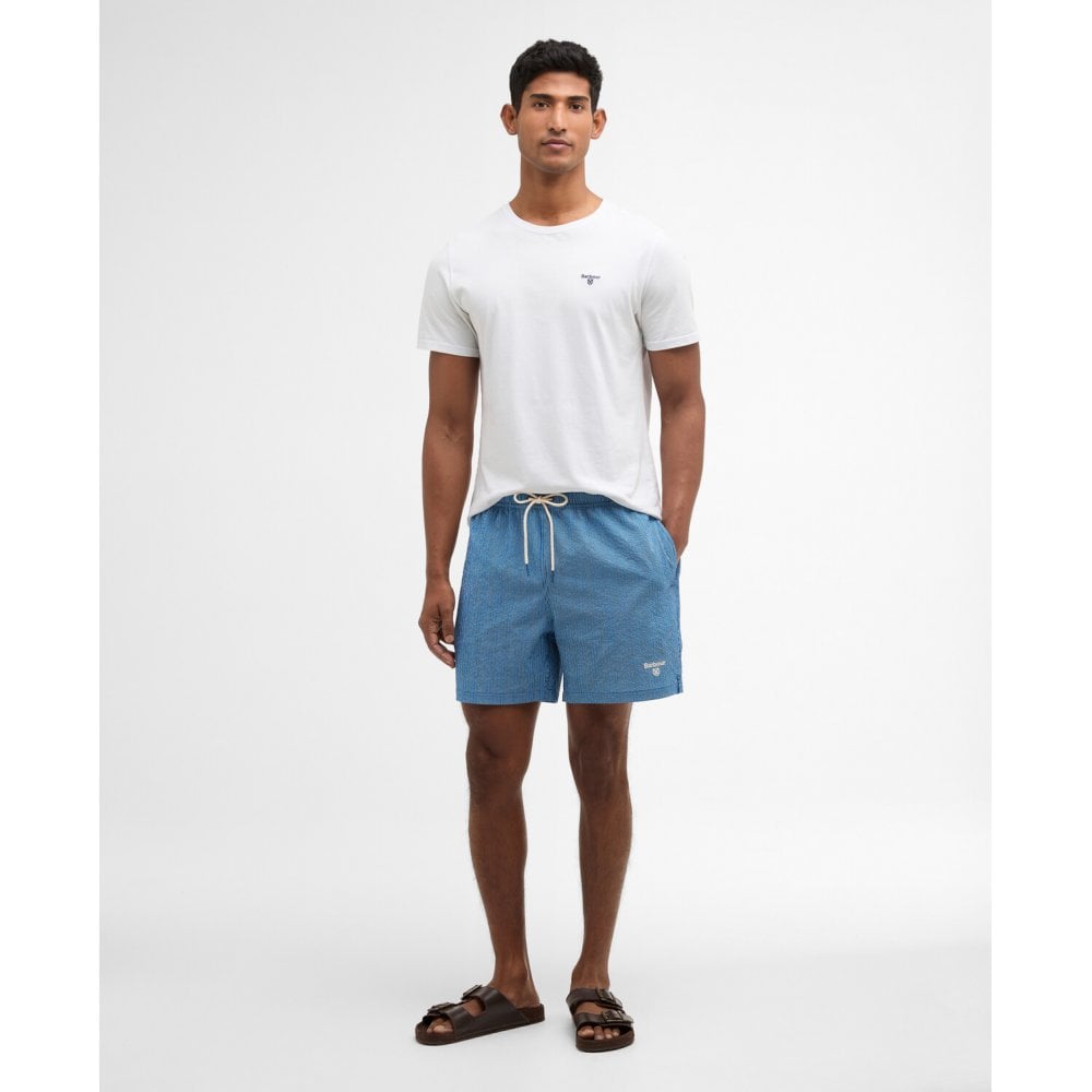 Somerset Pinstripe Swim Shorts