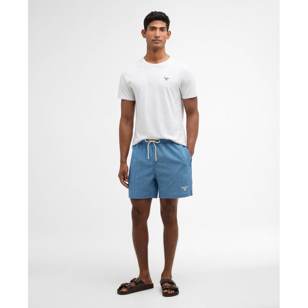 Somerset Pinstripe Swim Shorts