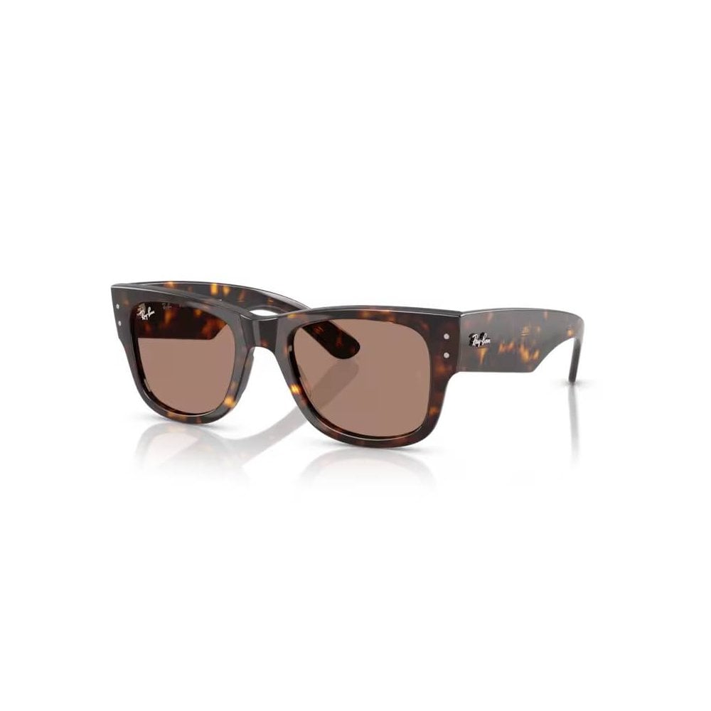 Mega Wayfarer Sunglasses