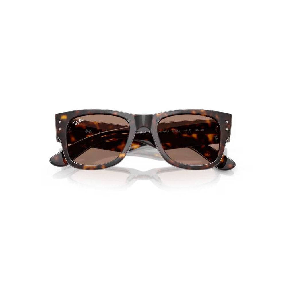 Mega Wayfarer Sunglasses