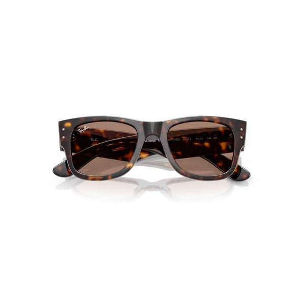 Mega Wayfarer Sunglasses