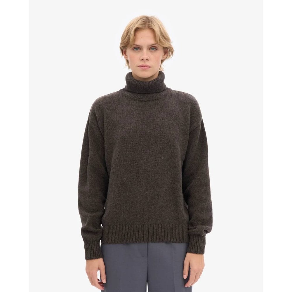 Merino Wool Turtleneck