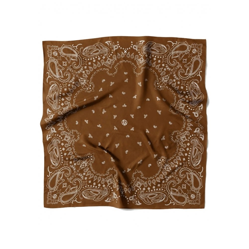 Paisley Scarf