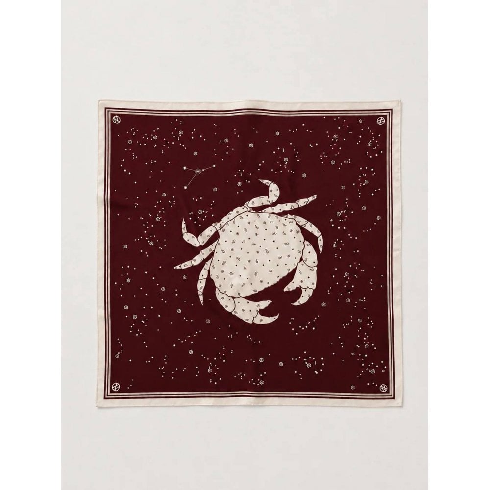 Zodiac Scarf