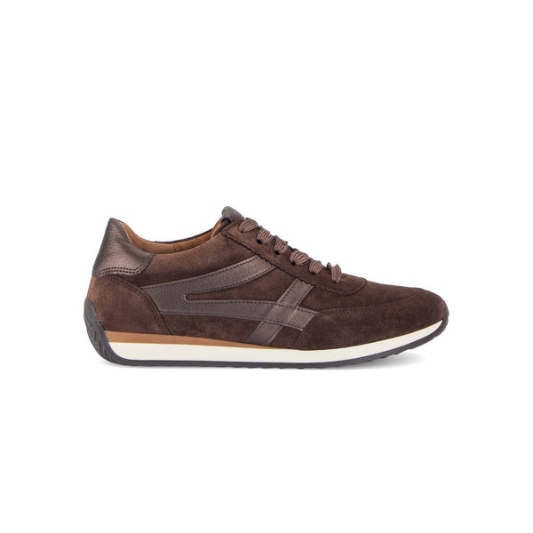 Globe Trainer